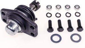 Dorman Premium B8036PR Front Upper Suspension Ball Joint Compatible with Select Ford/Mercury Models